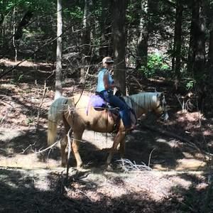 Meet your Posher, Anne